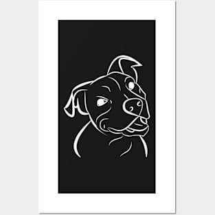 Dog, pit bull, dog head Posters and Art